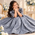 Girls' Silver Grey Organza Princess Party Dress with Floral Embellishments