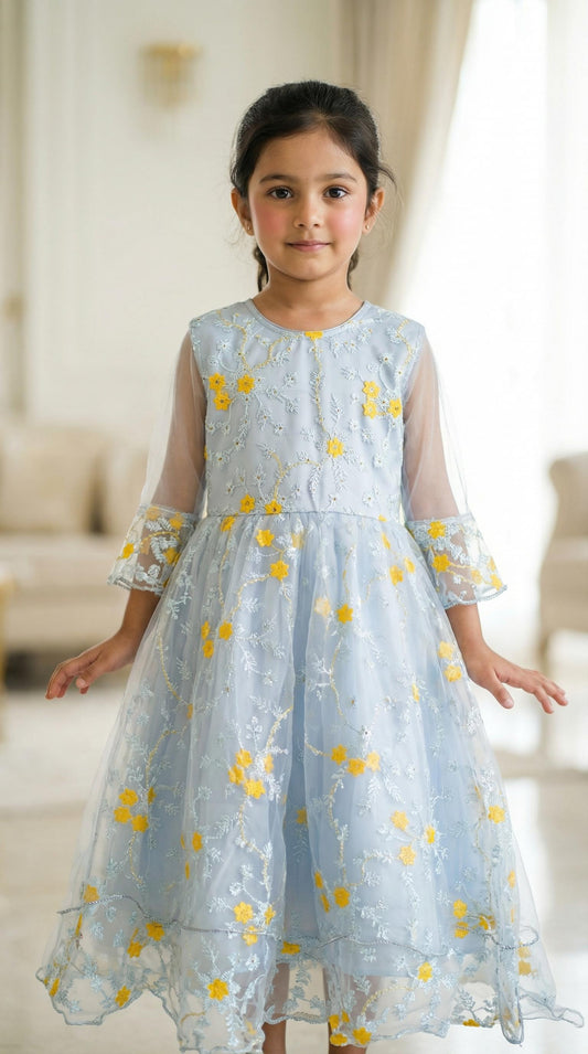 Beautiful Light Blue Floral Embroidered Girls Party Dress